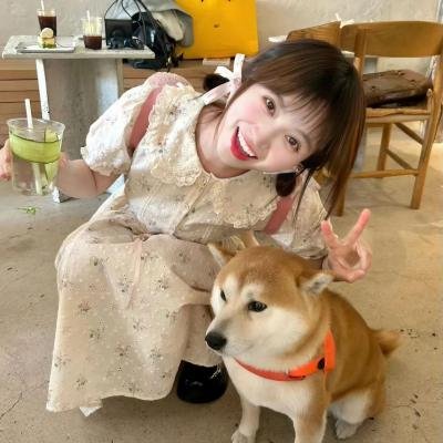 夏日菊花茶